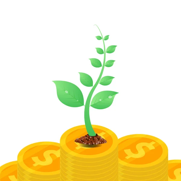 Árbol de dinero con monedas — Vector de stock