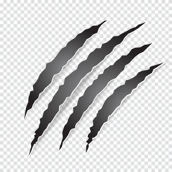 Claws scratches of animal — Stock Vector