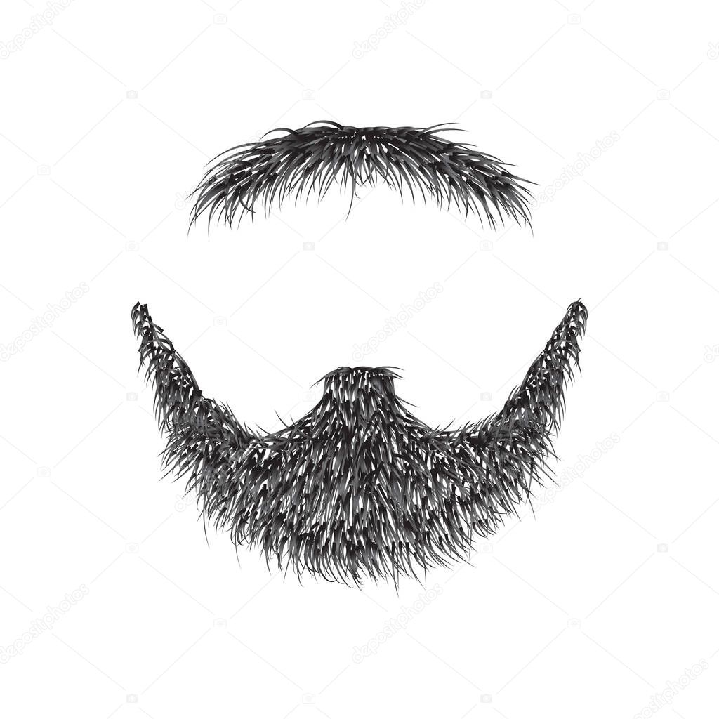Realistic Beard  isolated on white background vector illustration.