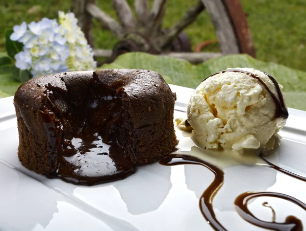 新鮮なアイスクリームとチョコレート ケーキ — ストック写真