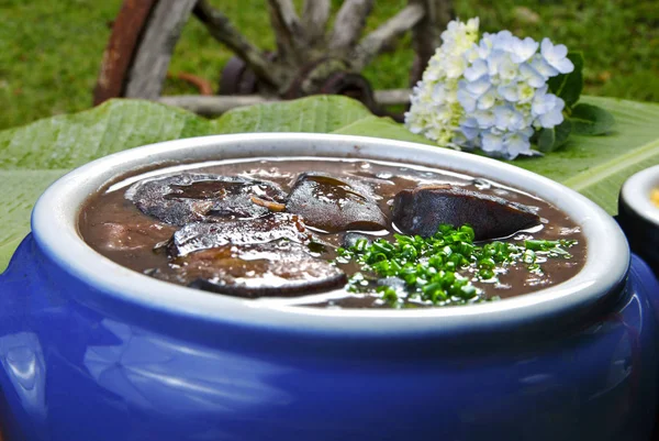 Feijoada frais dans un bol — Photo