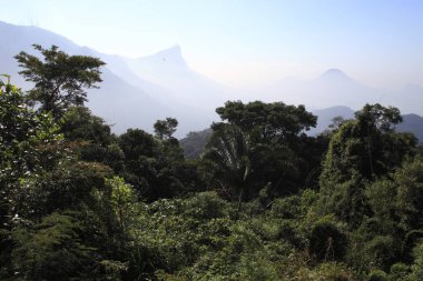 Rio de janeiro, Brezilya için yeşil park görünümünü