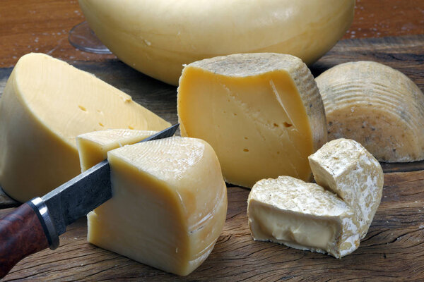 Various types of delicious cheeses