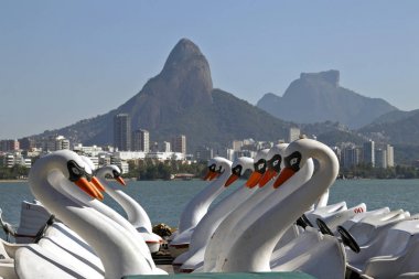Kuğu tekne, beach, Rio de Janeiro