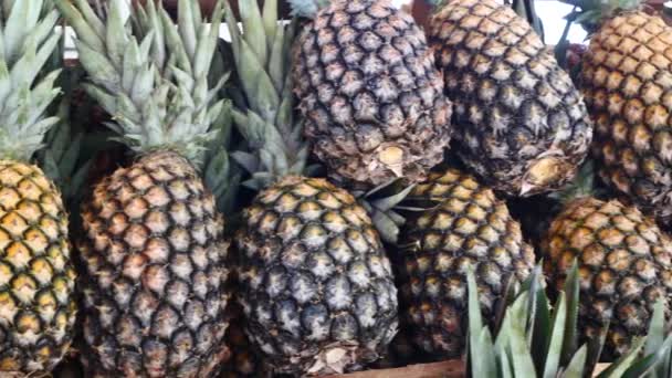 Vue Rapprochée Des Ananas Mûrs Sur Stand Marché — Video