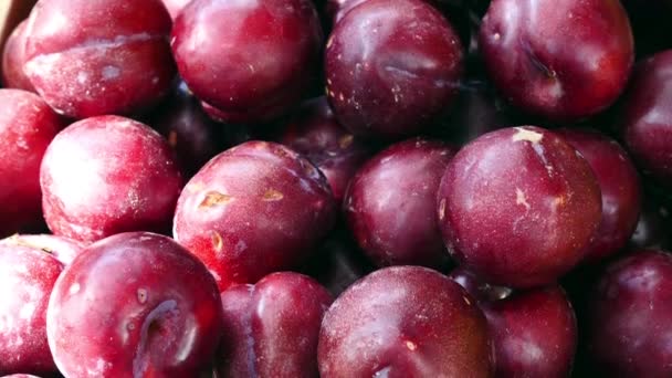 Vue Rapprochée Des Prunes Mûres Sur Marché Décrochage — Video