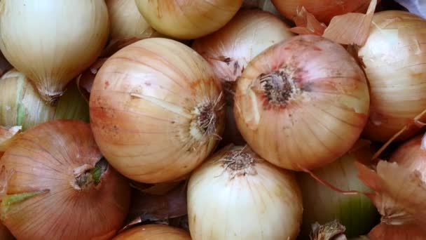 Nahaufnahme Eines Stapels Zwiebeln Marktstand — Stockvideo