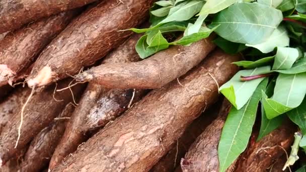 Patates Douces Fraîches Sur Stand Marché — Video