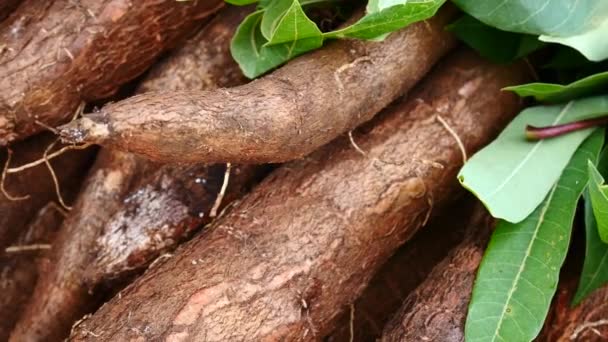 Patates Douces Fraîches Sur Stand Marché — Video