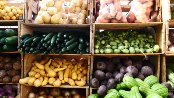 市場の屋台で新鮮な野菜のクローズ アップ ビュー — ストック動画