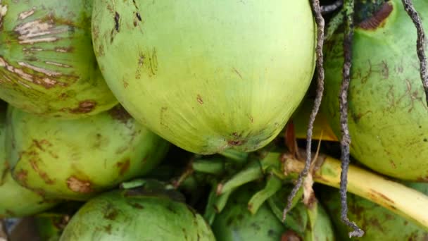 Vista Perto Das Frutas Tropicais Frescas Banca Mercado — Vídeo de Stock