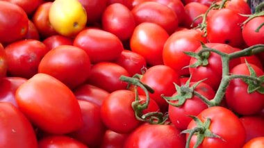 kiraz domates, piyasa ahır yığını görmek 