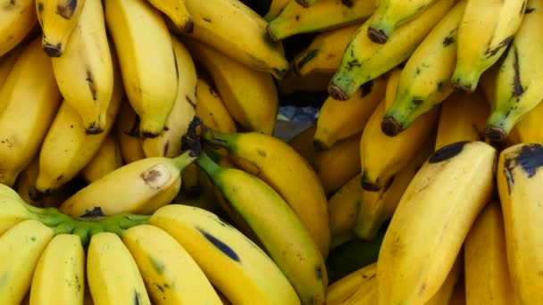 Nahaufnahme Von Reifen Bananen Marktstand — Stockvideo