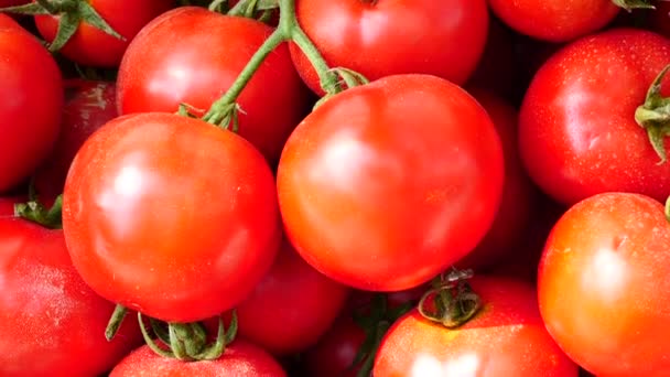 Vista Perto Pilha Tomates Cereja Banca Mercado — Vídeo de Stock