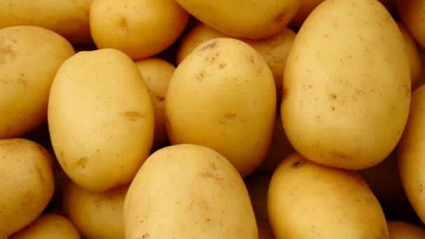 Primer Plano Pila Patatas Puesto Mercado — Vídeos de Stock