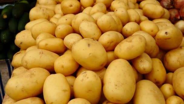 Крупный План Кучи Картофеля Рыночной Ларьке — стоковое видео