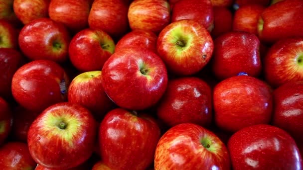 市場の屋台に熟したリンゴのクローズ アップ ビュー — ストック動画