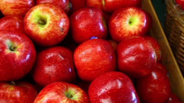 市場の屋台に熟したリンゴのクローズ アップ ビュー — ストック動画