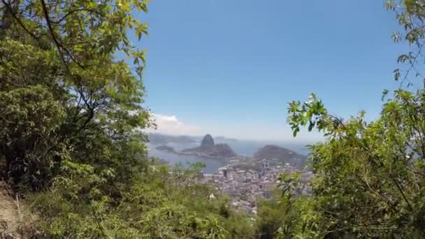 Rio Janeiro Główną Atrakcją Turystyczną Brazylii — Wideo stockowe