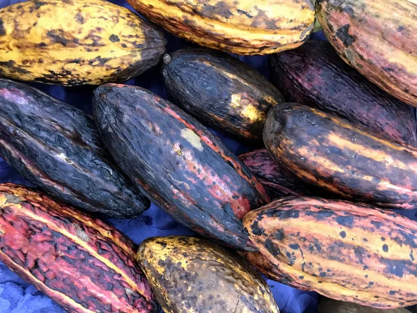 Cacao maturo nel mercato brasiliano — Foto Stock