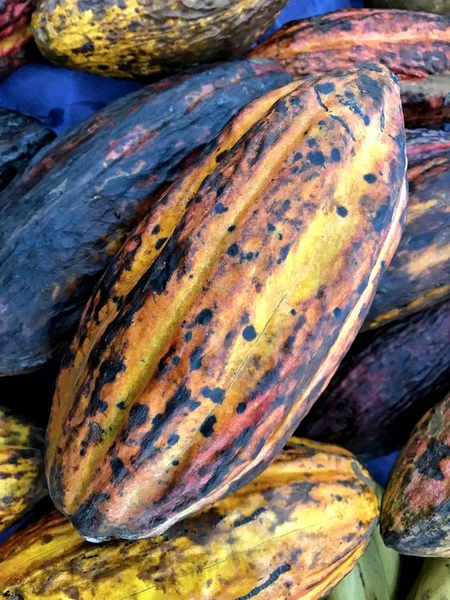 Cacao maturo nel mercato brasiliano — Foto Stock