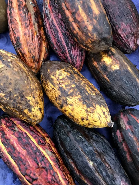 Cacao maturo nel mercato brasiliano — Foto Stock