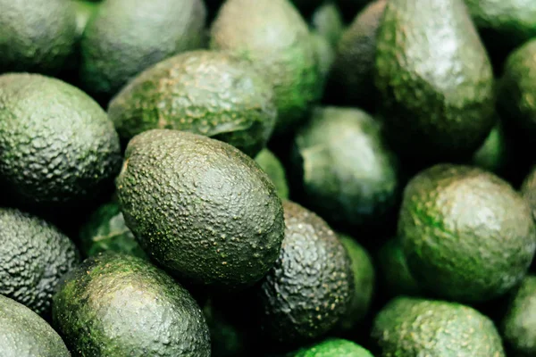 Verse avocado — Stockfoto