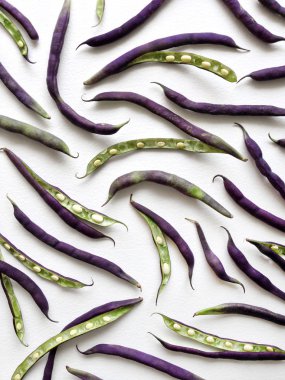 Mor çalı fasulyesi