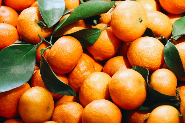 Tangerine — Stock Photo, Image