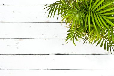 Yeşil yaprakları arka plan - yuvarlak şekil