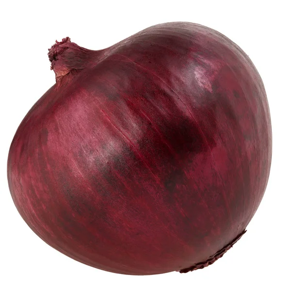 Eine Knolle rote Zwiebel isoliert auf weißem Hintergrund Clipping Pfad — Stockfoto