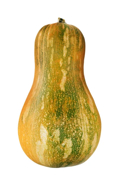 Zucca isolata su sfondo bianco — Foto Stock