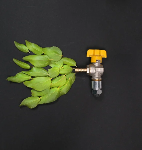 Water tap and green leaves. Top view — Stock Photo, Image
