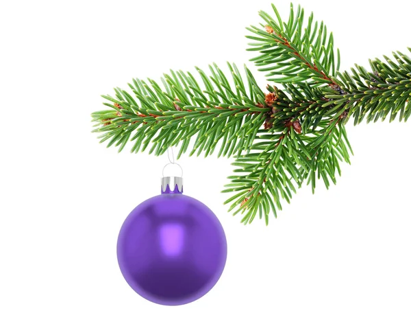 Illustration 3D Gros plan d'un ornement de boule de Noël violet suspendu au bord d'une branche d'arbre à feuilles persistantes, isolé sur un fond blanc . — Photo