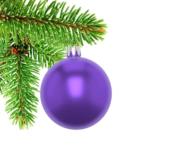 Illustration 3D. Gros plan de boule violette sur la branche d'un arbre de Noël montrant des aiguilles, fond blanc . — Photo