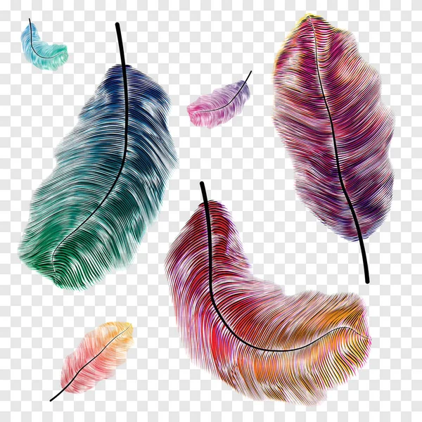 カラフルな羽毛のベクトル Eps10 — ストックベクタ