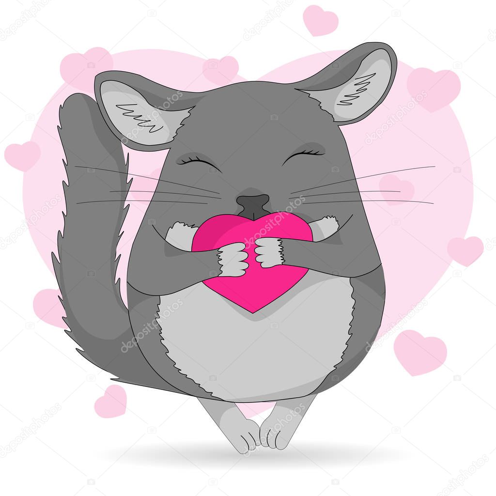 Chinchilla pet. Colored vector illustration isolated on white.