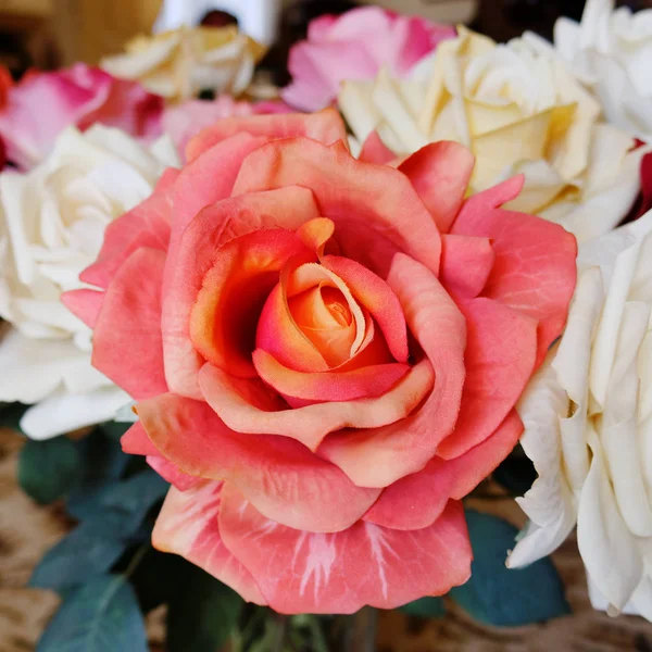 Rosa falsa naranja flor — Foto de Stock