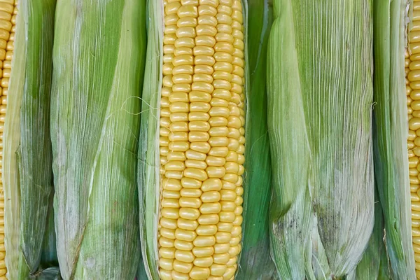 Fresh corn closeup top view — Stock Photo, Image