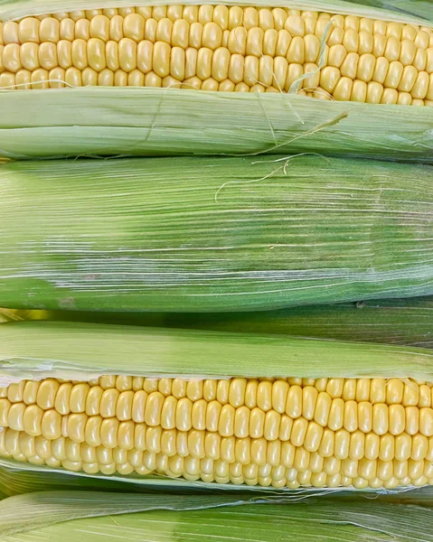Fresh corn closeup top view — Stock Photo, Image