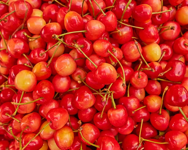 Cerezas orgánicas "piedra" primer plano — Foto de Stock