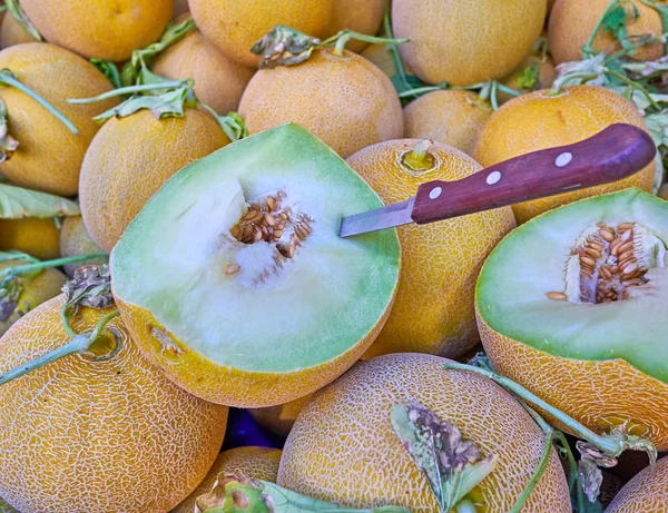 Juicy organic melon cut Royalty Free Stock Photos