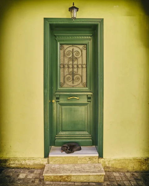 노란 집의 문에 녹색 나무로 되는 문 — 스톡 사진