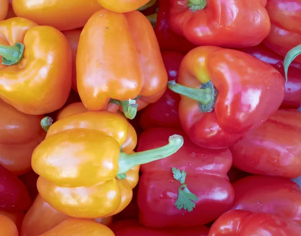 Pimientos orgánicos rojos y anaranjados — Foto de Stock