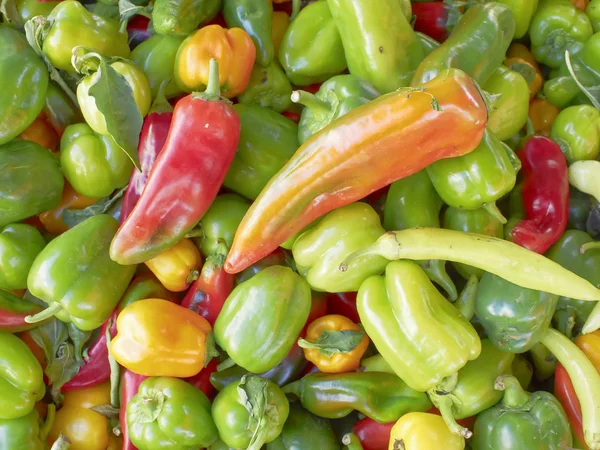 Pimentos vermelhos e verdes frescos — Fotografia de Stock