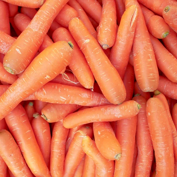 Raw carrots top view — Stock Photo, Image