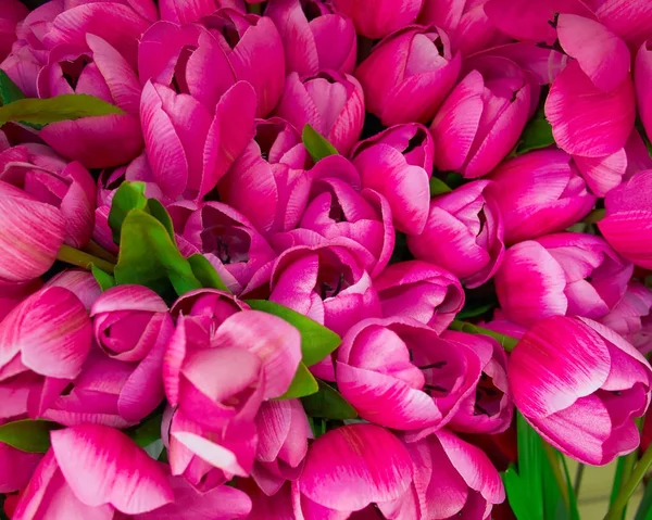 Цветные темно-фиолетовые искусственные тюльпаны — стоковое фото