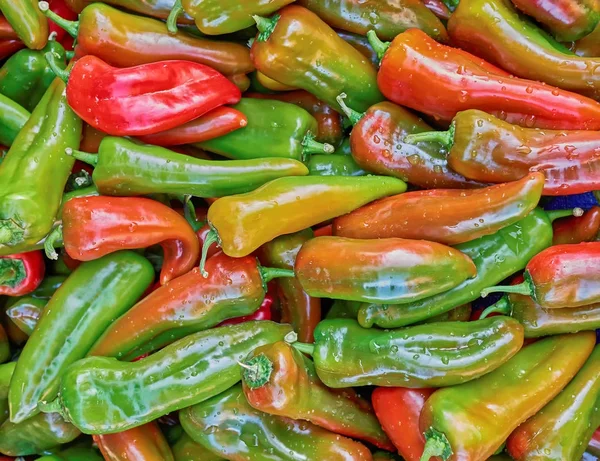 Organic peppers top view — Stock Photo, Image