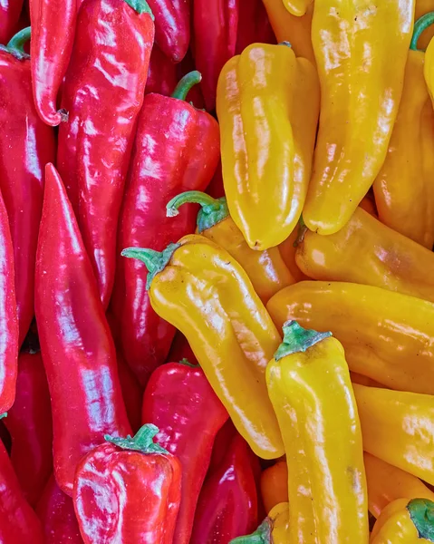 Red Yellow Peppers Top View Twin Color Background — Stock Photo, Image