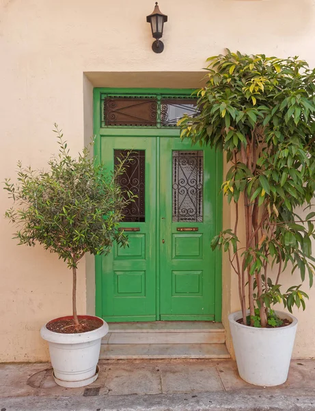 Färgglada Hus Levande Grön Dörr Och Blomkrukor Plaka Pittoreska Grannskap — Stockfoto